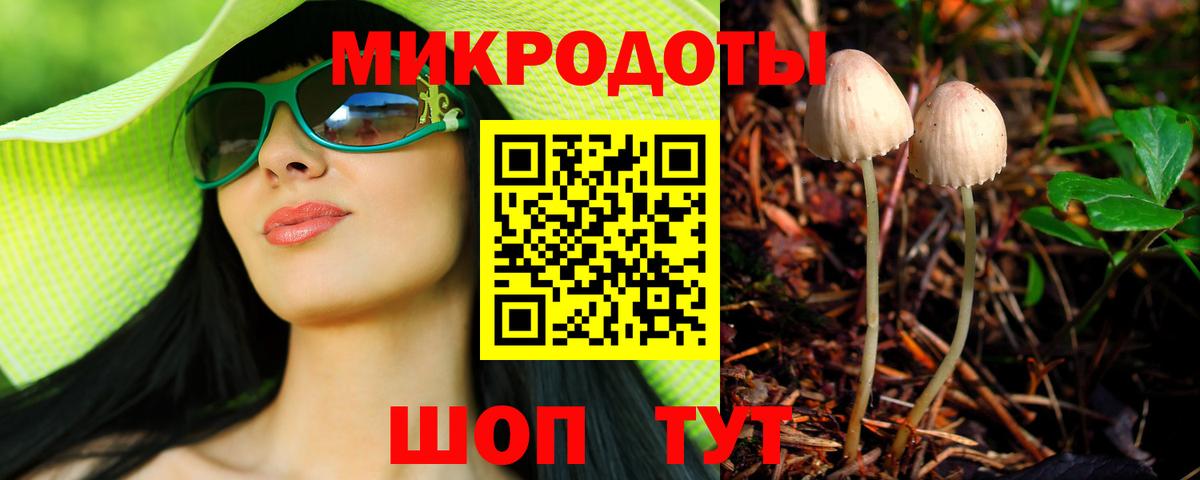 Псилоцибиновые грибы Psilocybine cubensis Большой Камень