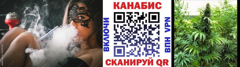 Бошки марихуана планчик  hydra вход  Большой Камень  где продают наркотики 